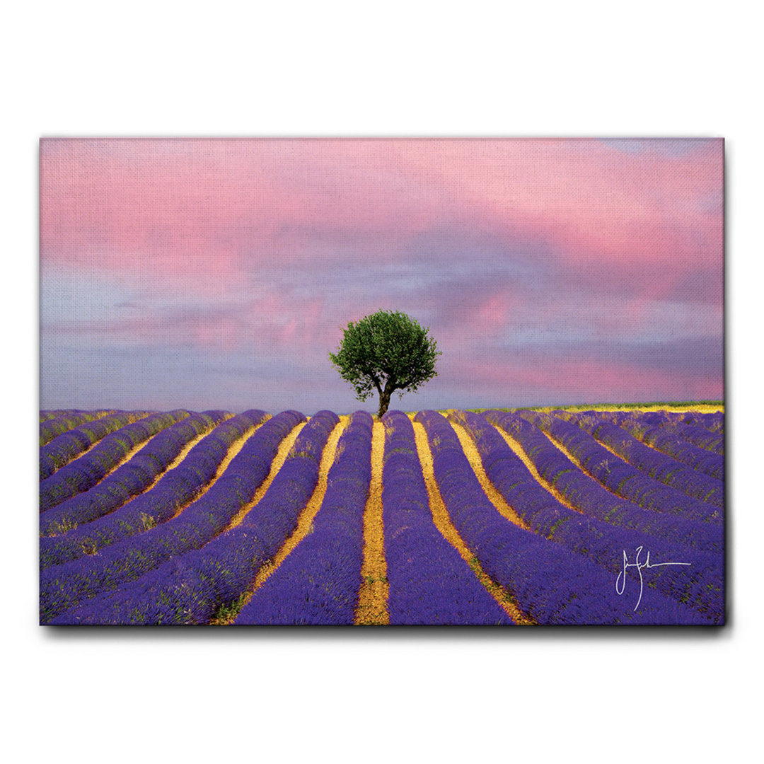 Leinwandbild Lavender Field von Jim Zuckerman