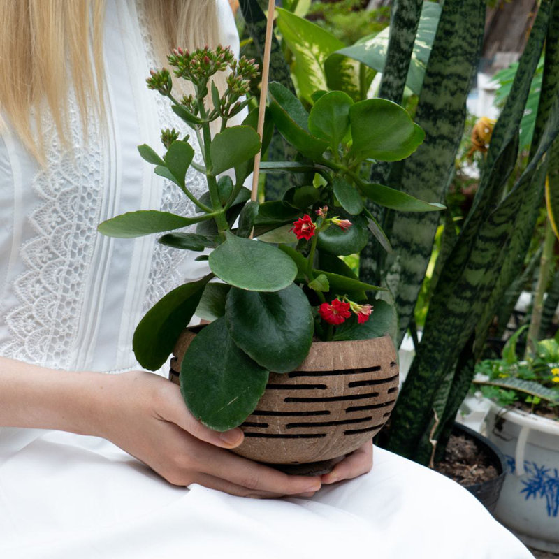 Handmade Pot Planter, 4