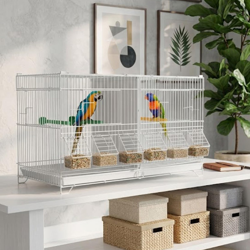 Cage à oiseaux 13 po à plateau plat avec perchoir et plateau amovible