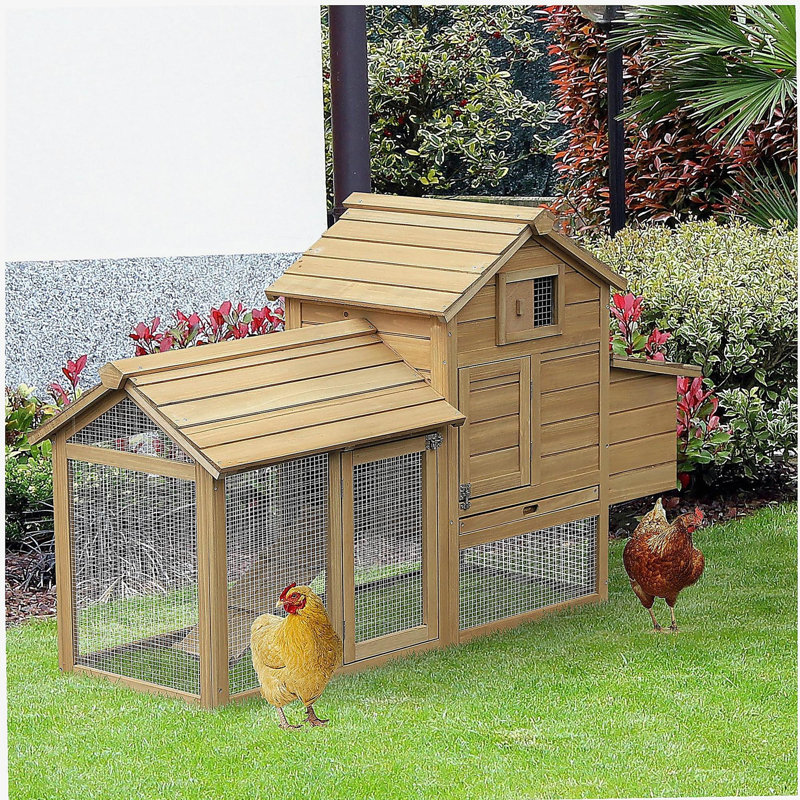 Petit poulailler en bois 59 po PawHut, Naturel
