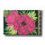 «Epic Graffiti» «Color Bouquet 4» par Art Licensing Studio, art mural sur toile, 40 po x 26 po