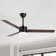 Jecori 52" 3-Blade Matte Black LED Standard Ceiling Fan with Remote Control and Light Kit Included