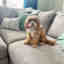 Photos des clients 1 de 2