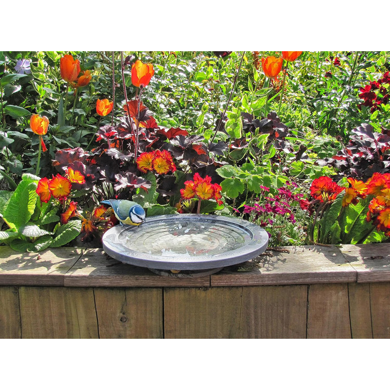Aymir Single Tier Birdbath