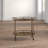 Oval 2-Tier Metal Bar Cart with Wheels-1193624528
