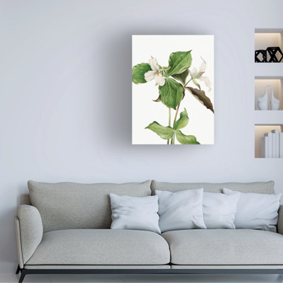 Art sur toile Mary Vaux Walcott