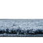Tapis à poils longs Jill Zarin-1478018379