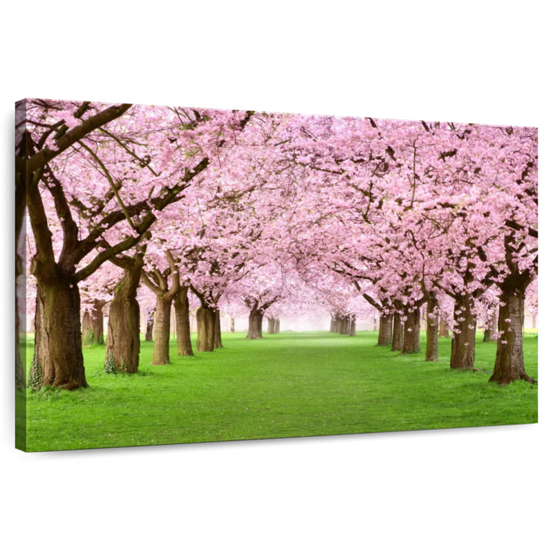 Harnek Cherry Blossom Lane