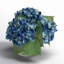 Hortensias en vase-1961224518