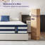 Puffy Collection Resspry Mattress-115243976