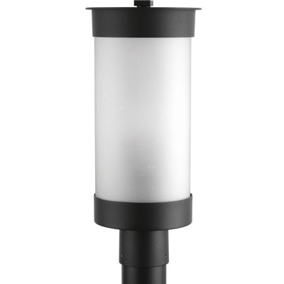 Zakrzewski Seeded Lantern Head