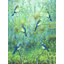 " Blue Birds In A Tree "