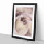 Pale Pink Rose - Framed Print-55578188-55578189