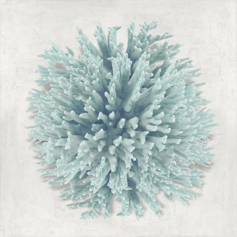 Coral Mint I by Caroline Kelly - Wrapped Canvas Print, 30cm H x 30cm W
