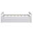 Platform Bed With Trundle-2133193035