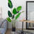 160 cm Tall Artificial Banana Leaf Tree Faux Large Plants in Pot-700878112