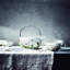 Brillance Fleurs Sauvages Bone China Teacup