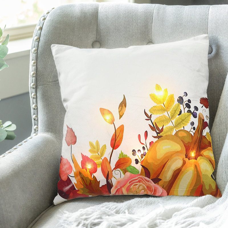 Coussin décoratif en velours