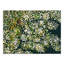 Moody Cream Florals - peinture sur toile tendue