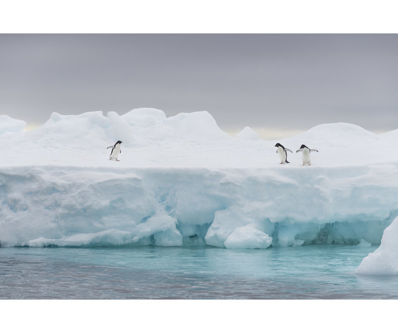 Wrapped Canvas Print, 50.8 cm H x 76.2 cm W