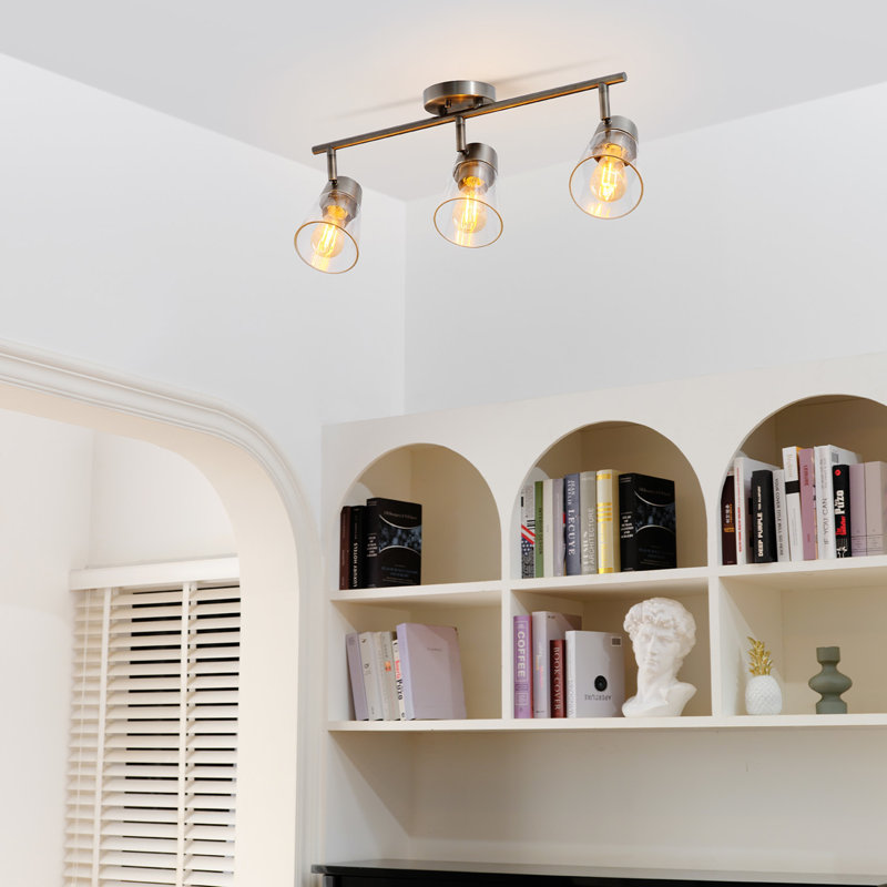 Bismark 24'' 3 -Light Fixed Track Track Kit with Dimmable and Adjustable Head