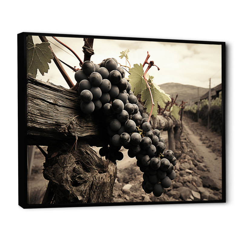 Vintage Charm Winery - vignoble, art mural, H 12 po x l 20 po x P 1 po, Cadre flottant noir