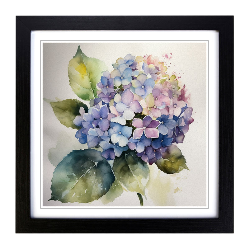 Hydrangea Watercolour - Single Picture Frame Print on Wood, Black