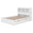 Cardorius Bookcase Bed-1487375692