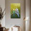Brampt Budgie Siesta-108636824
