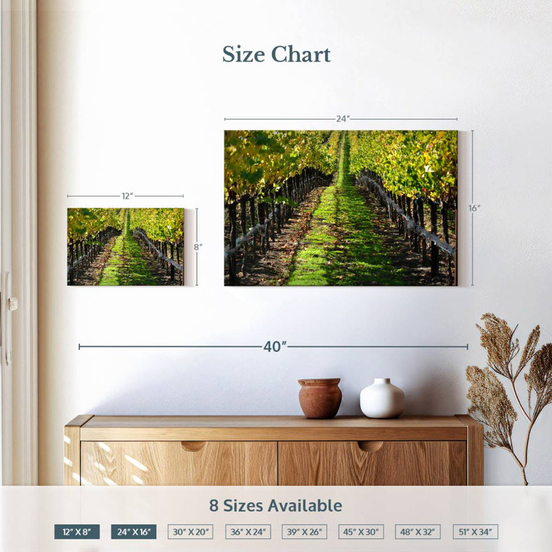 Yarlin Napa Valley Vineyard, H 16 po x l 24 po