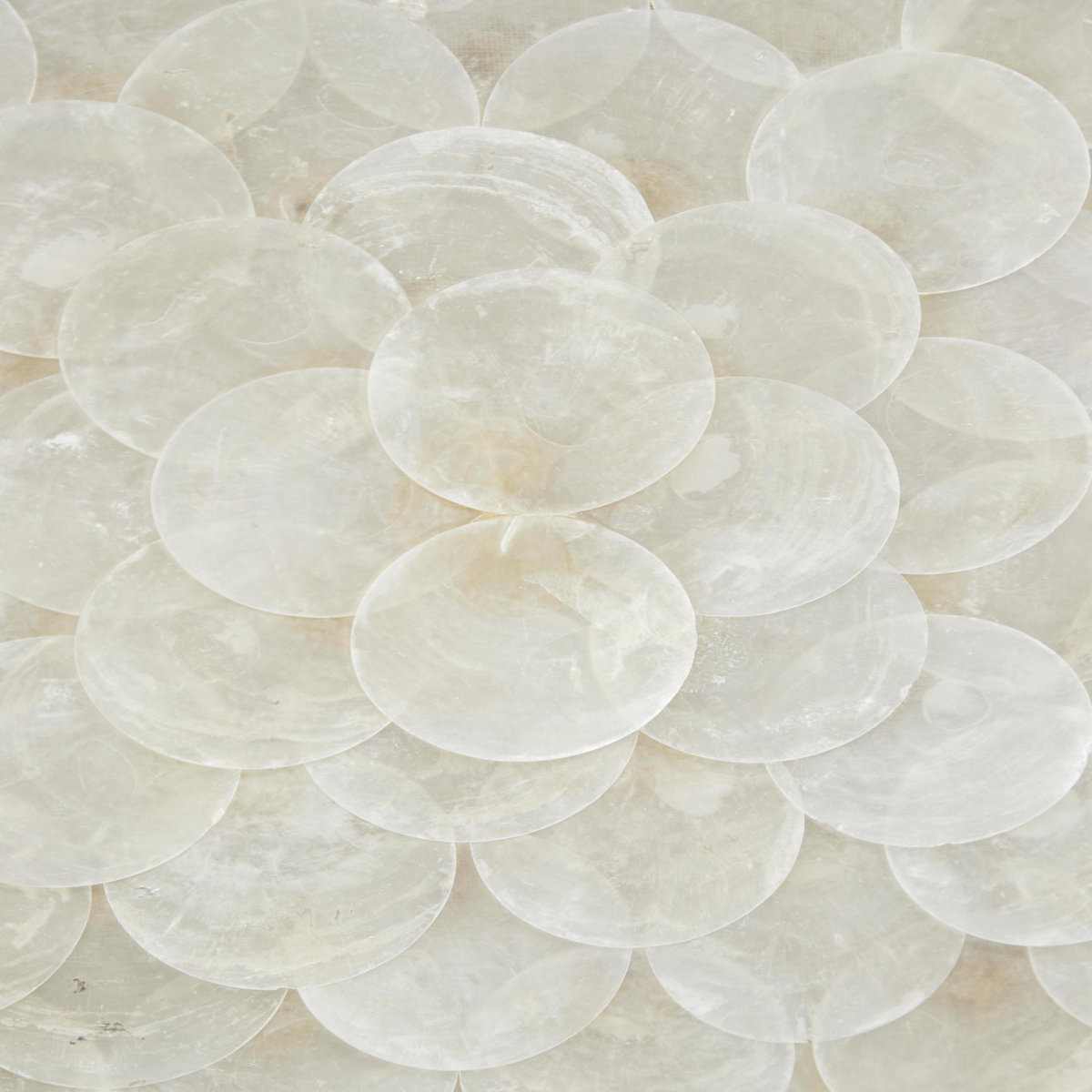 Sand & Stable™ 2 Piece Cream Shell Handmade Overlapping Shells ...