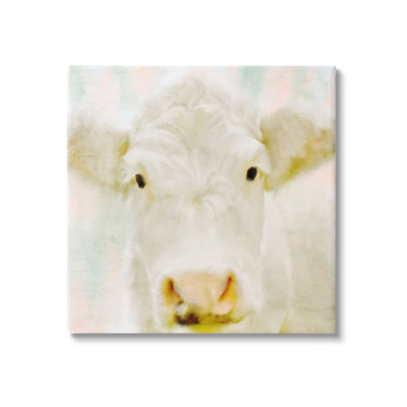 Gros plan d'une douce vache blanche sur fond superposé par Kim Allen - Peinture, Toile tendue, H 17 po x l 17 po x P 1,5 po