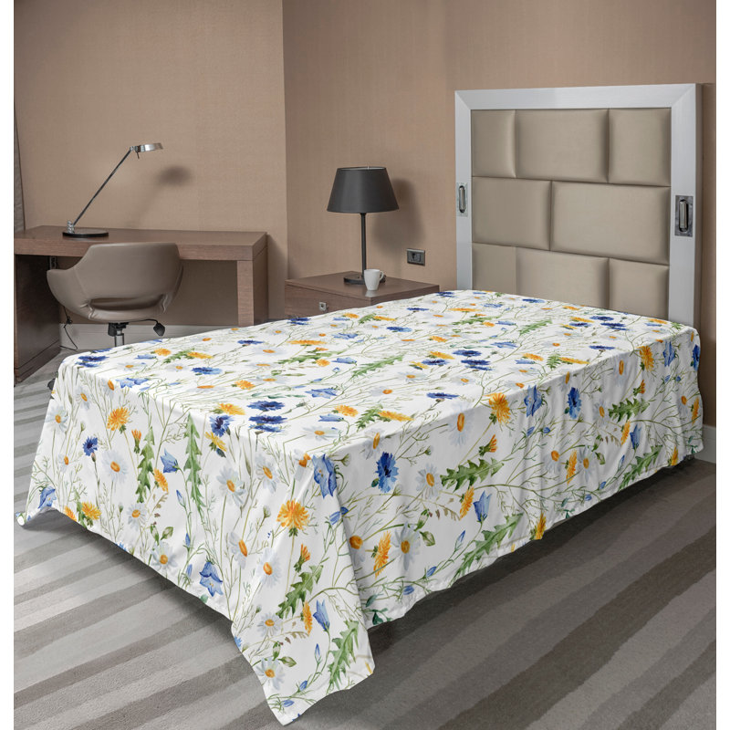 Drap Ambassonne, Simple