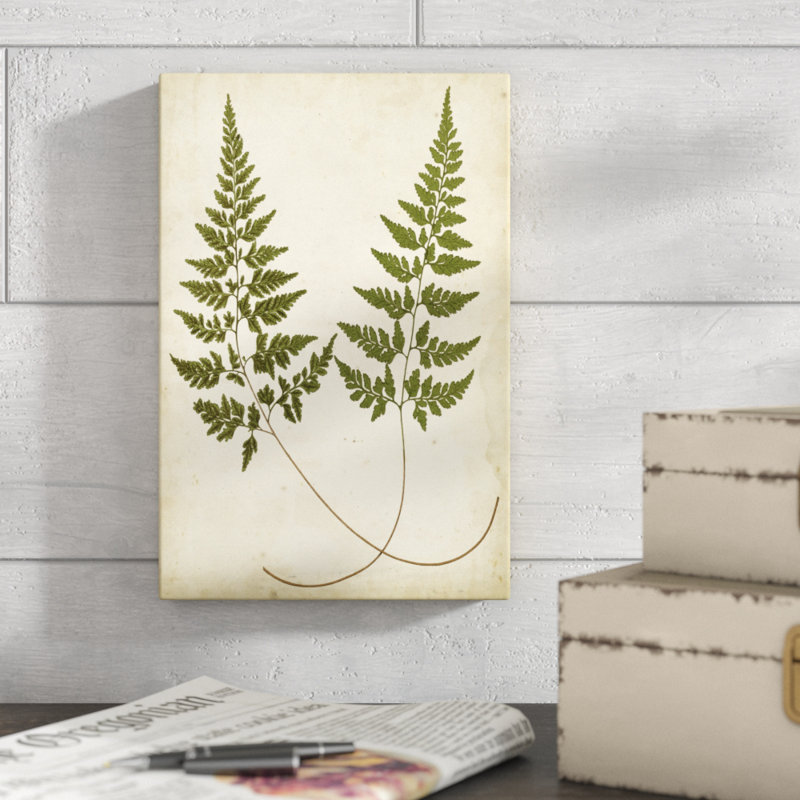 «Fern Portfolio I», peinture sur toile, H 12 po x l 8 po
