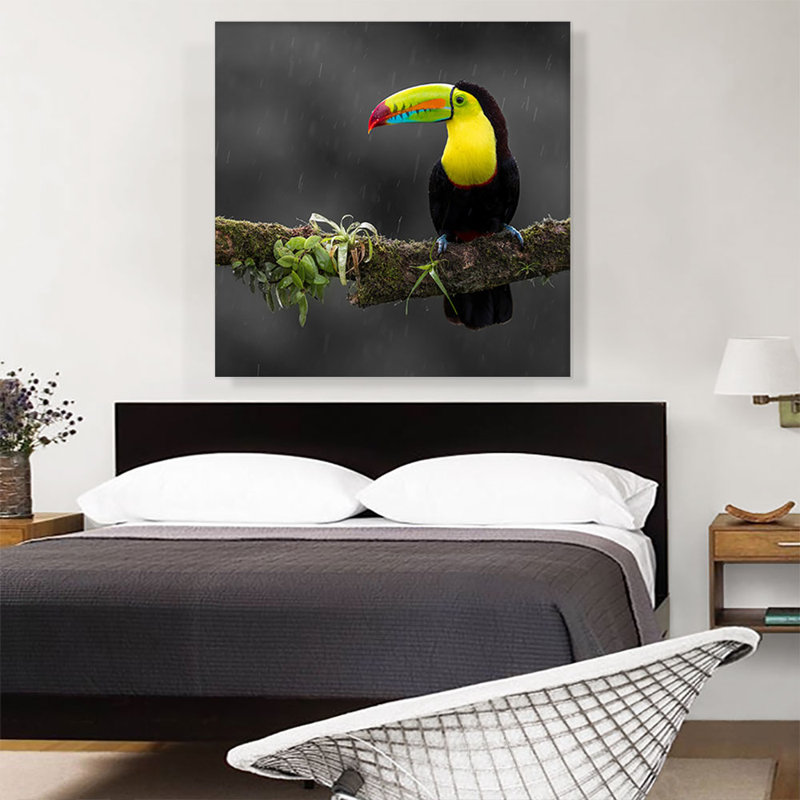 Toucan, oiseau, branche verte, impression sur toile tendue, H 36 po x l 36 po x 1,5 po