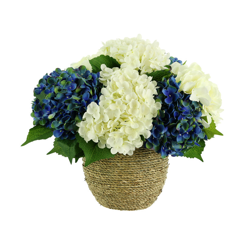 Hydrangeas Arranged in Straw Grass Pot