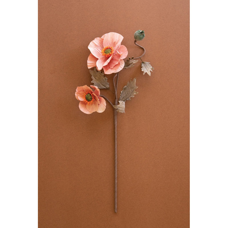 BOTANICA # 2889
