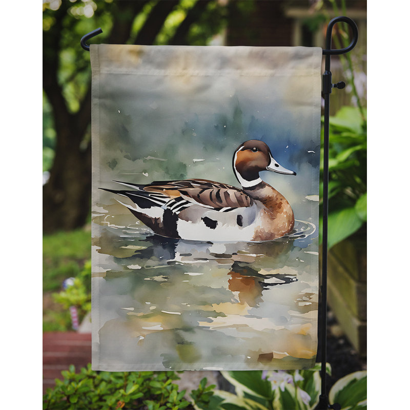 Drapeau du jardin Northern Pintail_DAC3245