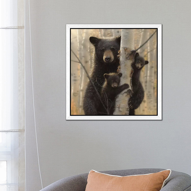 Mama Black Bear, Square by Collin Bogle - Floater Frame Print on Canvas, 66.04 cm H x 66.04 cm W, White
