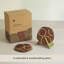 Ensemble de sous-verres en bois avec support – Sous-verres artisanaux pour protéger votre table – Design festonné haut de gamme