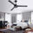 Forgan 52'' Ceiling Fan-2072586051