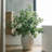 48" Artificial Eucalyptus Branch Stems