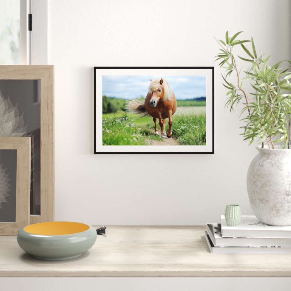 Gerahmtes Poster Shetlandpony auf der Wiese