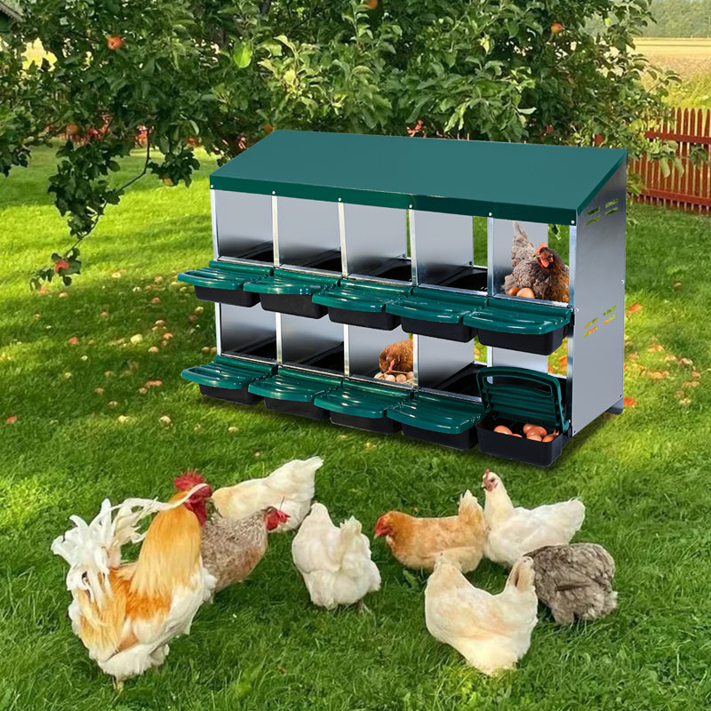 Egg Boxes & Baskets, 79cm H x 133.5cm W x 52cm D, Green