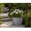Daisy Square Stone Effect Planter Pot, Indoor and Outdoor Plant Pot, Frost Resistant with Drainage Hole-322213149-322213144