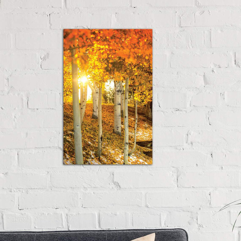 Sunburst Through The Aspens - Wrapped Canvas Print, 66.04 cm H x 45.72 cm W x 1.91 cm D