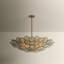 Wassama Chandelier-1436477705