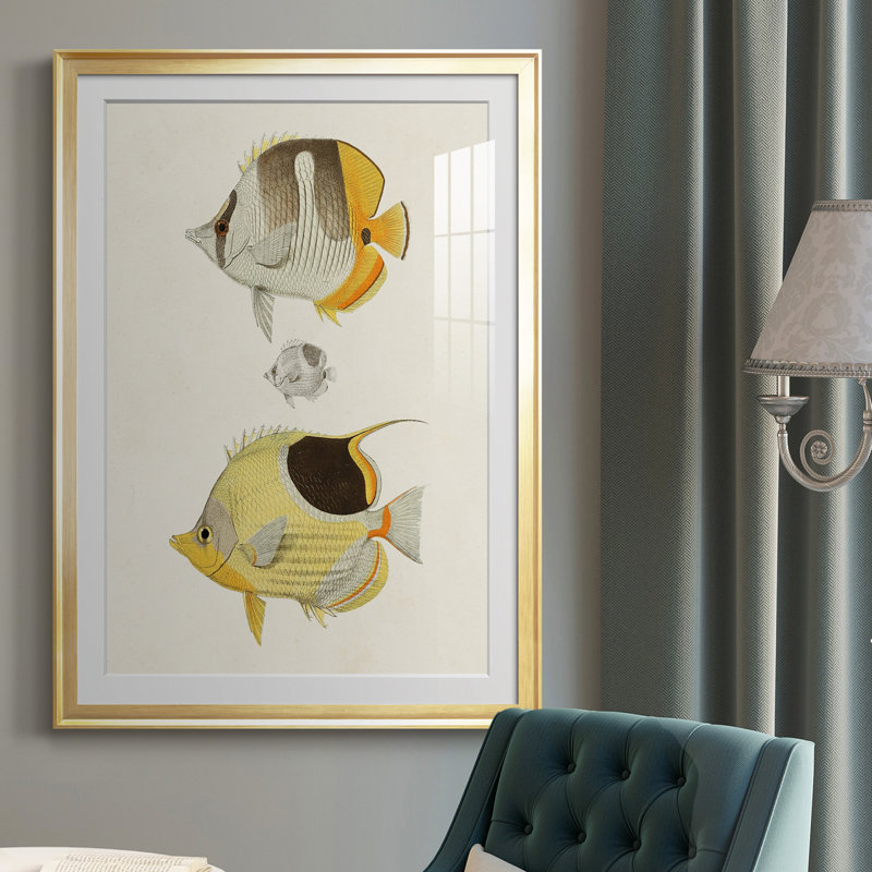 Poisson jaune et gris II - imprimé, Cadre doré, H 42,5 po x l 30,5 po x P 1 po