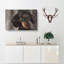Portrait Of A Dachshund Dog - Wrapped Canvas-56629255