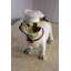 Statue en résine 8 po x 5 po x H 8 po Nifao Collection Un chien heureux déguisé en shériff de la ville